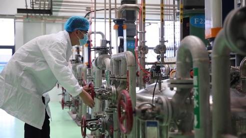 責任民企顯擔當，靠上服務助復產——泰安生物技術企業馳援抗疫一線